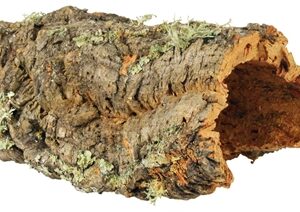 TRIXIE REPTILAND KURKPLAAT