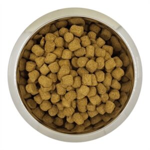 YOURDOG CHIEN FRANÇAIS BLANC ET ORANGE VOLWASSEN