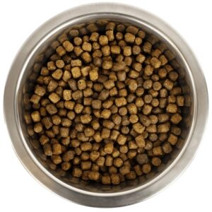 YOURDOG KONINGSPOEDEL PUP