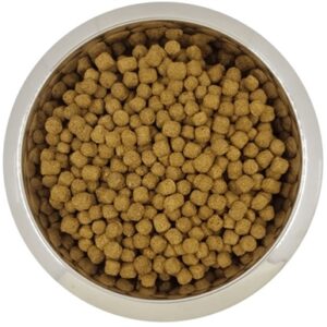 YOURDOG DWERG- OF TOYPOEDEL VOLWASSEN