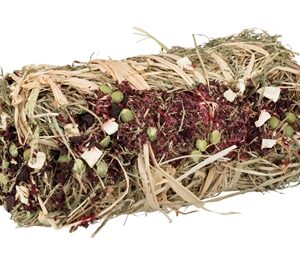 TRIXIE HOOIBAAL MET RODE BIET EN PASTINAAK