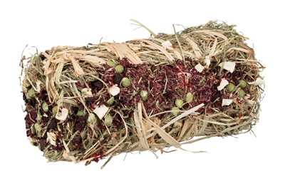 TRIXIE HOOIBAAL MET RODE BIET EN PASTINAAK