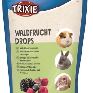 TRIXIE KNAAGDIER DROPS BOSVRUCHTEN