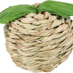 TRIXIE SPEELBAL APPEL GRAS / MAISBLAD