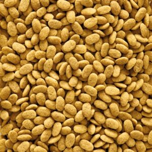 NUTRIBIRD P15 ORIGINAL ONDERHOUDSVOEDER