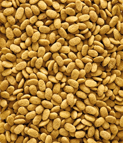 NUTRIBIRD P15 ORIGINAL ONDERHOUDSVOEDER