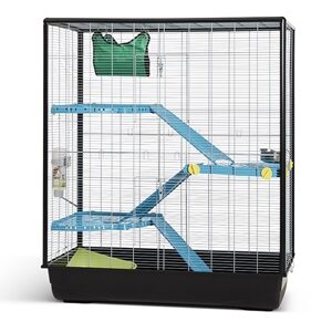 SAVIC RATTENKOOI ZENO 3 KNOCK DOWN EMPIRE ANTRACIET