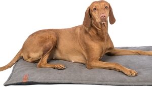 TRIXIE BE NORDIC HONDEN LIGMAT FÖHR DONKERGRIJS