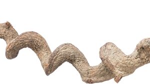 TRIXIE ZITSTOK HANGEND DRAKENHOUT