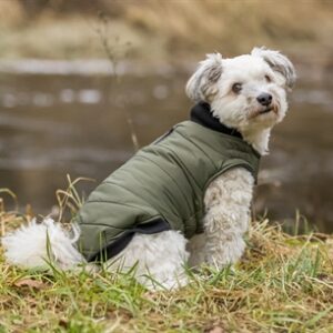 TRIXIE HONDENJAS ARLAY DONKERGROEN