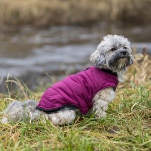 TRIXIE HONDENJAS ARLAY BES