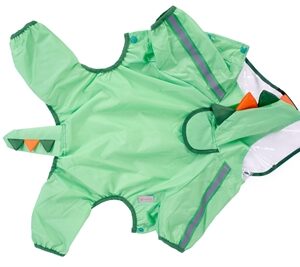 FOFOS REGENJAS DINOSAURUS GROEN