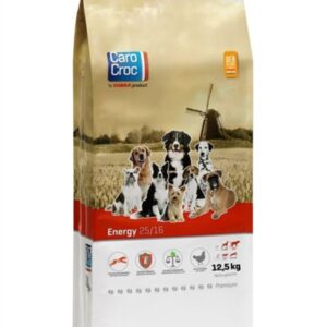 CAROCROC ENERGY 25/16