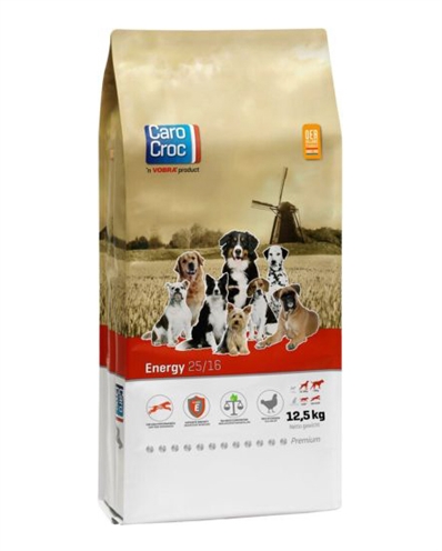 CAROCROC ENERGY 25/16