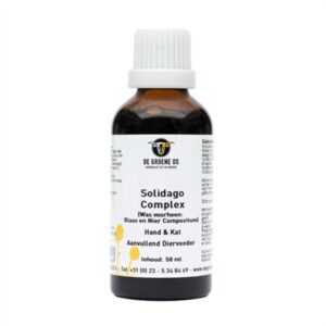 DE GROENE OS SOLIDAGO COMPLEX HOND / KAT