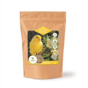 UTOPIA KANARIES TOP QUALITY