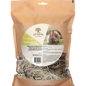 UTOPIA TIMOTHY HOOI MET BERKENBLAD