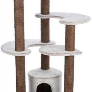 TRIXIE KRABPAAL AFONSO BRUIN