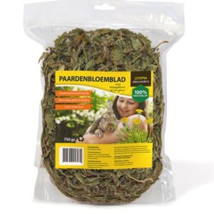 UTOPIA PAARDENBLOEMBLAD VOOR KNAAGDIEREN EN KONIJNEN