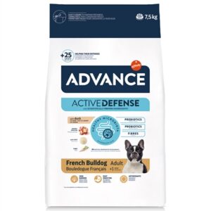 ADVANCE ADULT FRENCH BULLDOG