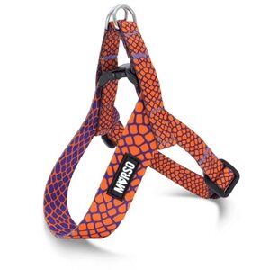 MORSO MINI HONDENTUIG VERSTELBAAR GERECYCLED URBAN LIZARD ROOD