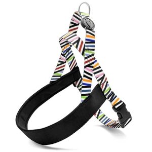 MORSO NORWEGIAN HONDENTUIG GERECYCLED SPAGHETTI INCIDENT