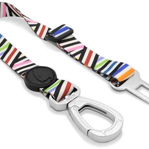 MORSO HONDEN AUTOGORDEL GERECYCLED SPAGHETTI INCIDENT