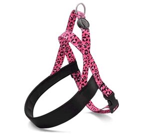 MORSO NORWEGIAN HONDENTUIG GERECYCLED BUBBLE LEO ROZE