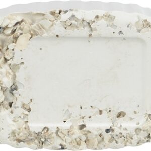 TRIXIE PIKSTEEN MET SCHELPEN MINERALEN EN MOSSELEN