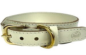 SAZZZ HALSBAND HOND PIONEER CLASSIC LEER CREME