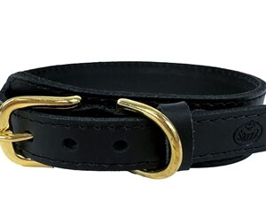 SAZZZ HALSBAND HOND PIONEER CLASSIC LEER ZWART