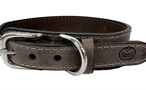 SAZZZ HALSBAND HOND BOHO VINTAGE LEER BRUIN