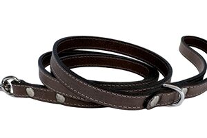 SA HONDENRIEM FEARLESS VINTAGE LEER BRUIN