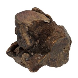 DOG WOODZZZ KAUWWORTEL MET OLIJFOLIE