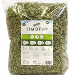 BUNNY NATURE TIMOTHY HOOI