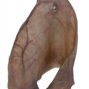 PETSNACK VARKENSOREN