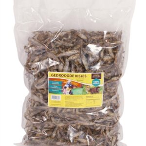 UTOPIA GEDROOGDE VISJES HOND / KAT