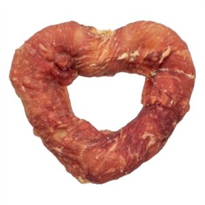 TRIXIE DENTA FUN HEART MET EENDENBORST