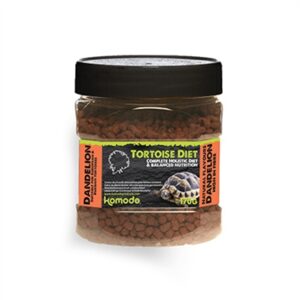 KOMODO VOER SCHILDPAD PAARDENBLOEM