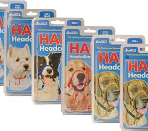 COMPANY OF ANIMALS HALTI HEADCOLLAR ZWART