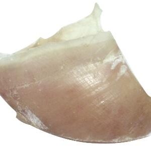 DOGSTAR KALFSHOEVEN GROOT