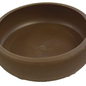 KOMODO MEELWORM SCHAALTJE