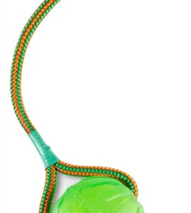 STARMARK SWING 'N FLING CHEW BAL AAN KOORD