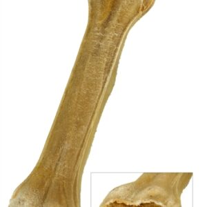 PETSNACK GEPERST BOT GEVULD MET ZALM