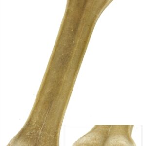 PETSNACK GEPERST BOT GEVULD MET RUND